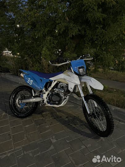 Avantis fx 250 lux