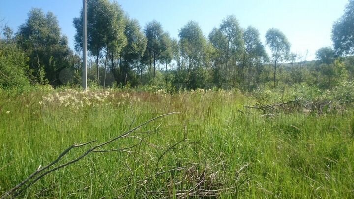 Участок 10 сот. (ИЖС)