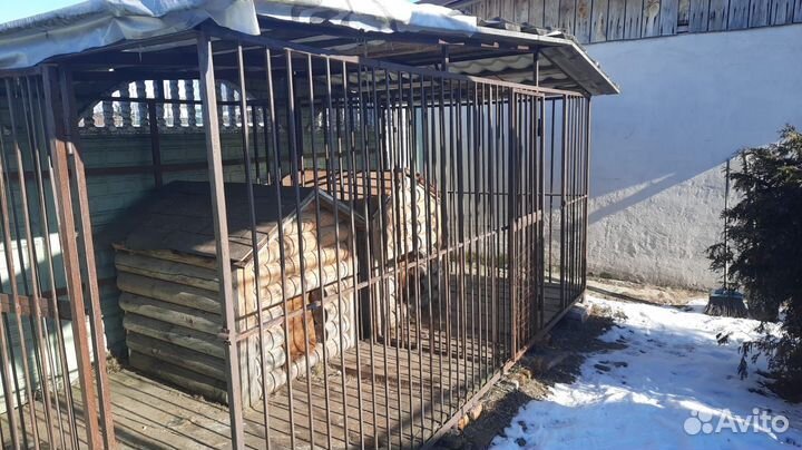 Вольер для собак