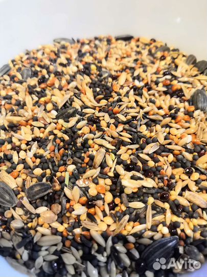 Корм для канареек, амадин и певчих птиц
