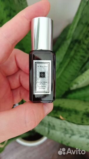 Jo Malone Velvet Rose Oud 9ml