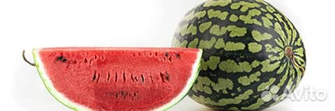 Семена Арбуза 