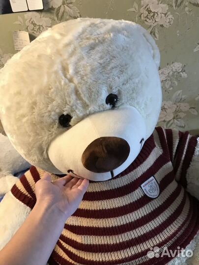 Мишка ждёт своих хозяев