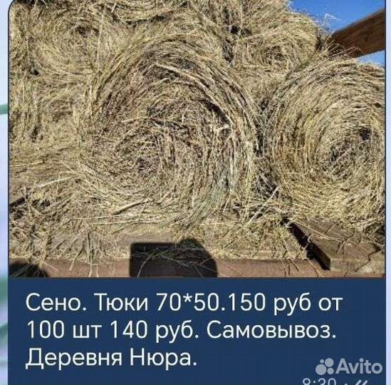 Сено в тюках