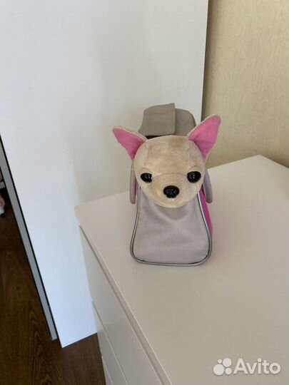 Собачка chi chi love