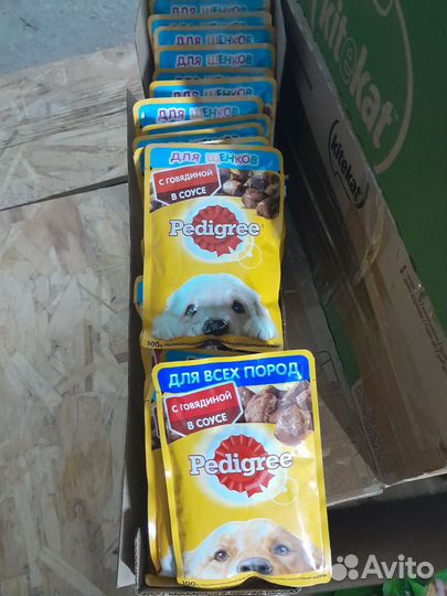 Влажный Корм для кошек, собак Kitekat 1000+ шт