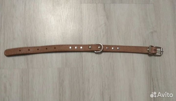 Когтерезки, поводки, ошейник