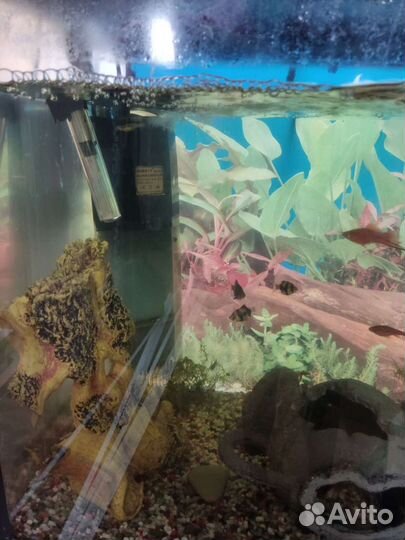 Аквариум с тумбой