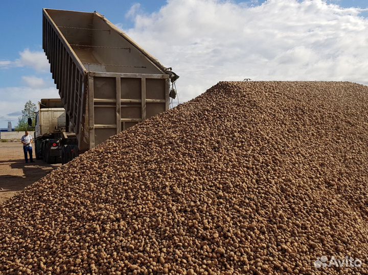 Керамзит россыпью с доставкой (от 20 куб. м)