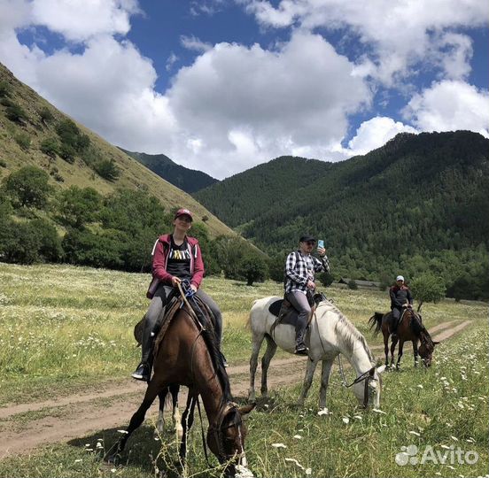 Верхняя Балкария прогулки на лошадях