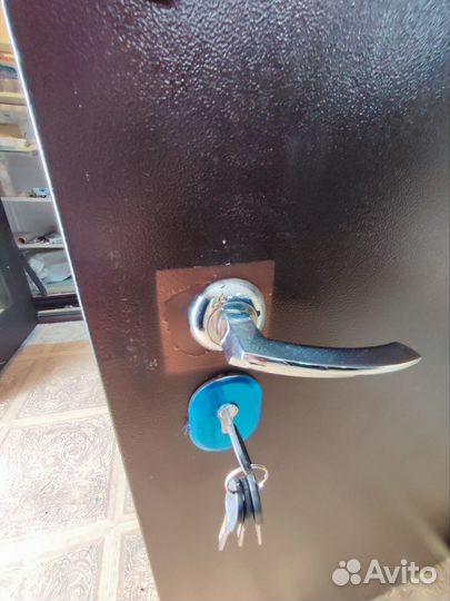 Дверь входная металлическая 86я