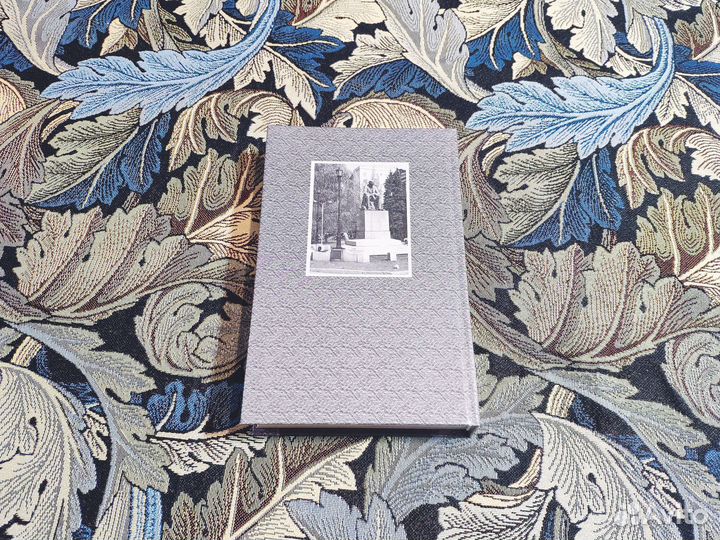 Мой дух сроднился с духом века - Никитин