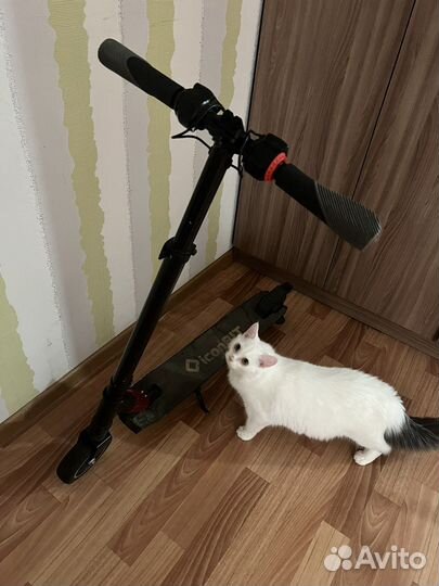 Электросамокат бу