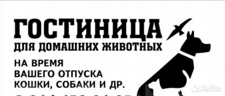 Передержка домашних животных. Гостиница