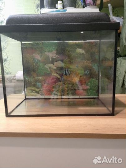 Аквариум