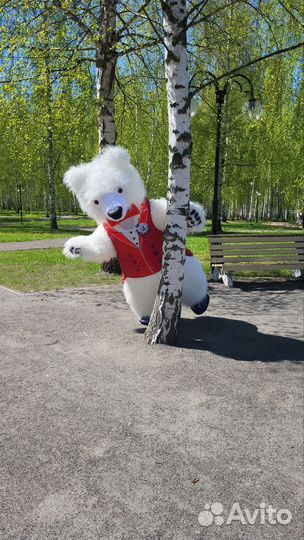 Мишка Марио Аниматор. Поздравление от мишки