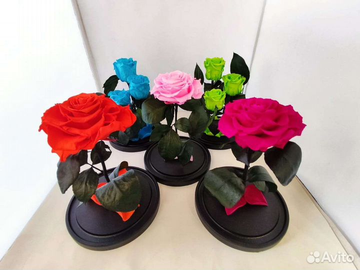 Вечная роза в колбе оптом и в розницу