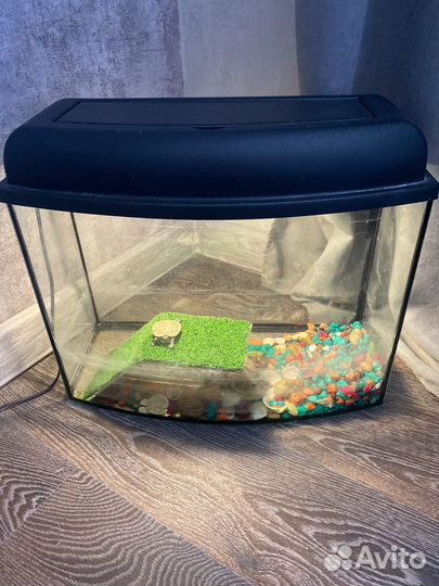 Аквариум для рыбок