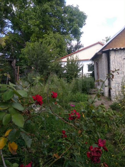 Дом 50 м² на участке 4 сот.