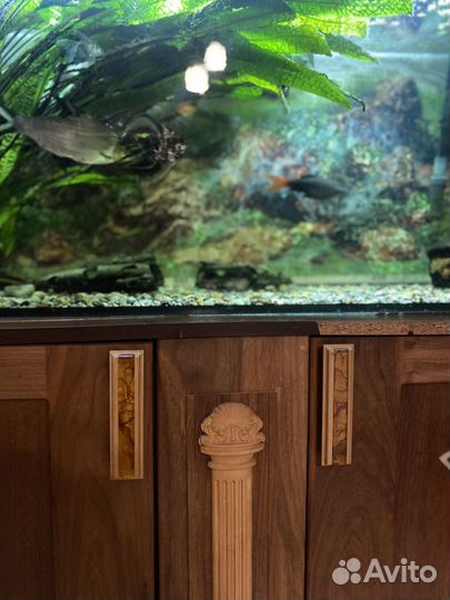 Аквариум с рыбками бу
