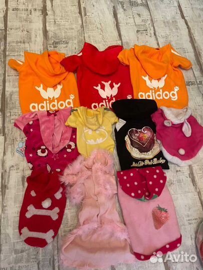 Одежда для собак