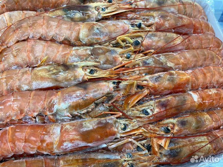 Лангустины L1 крупный. Свежий улов