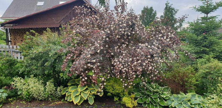 Дом 190 м² на участке 34 сот.