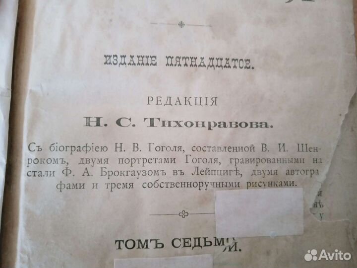 В. Н. Гоголь (1900 г.)