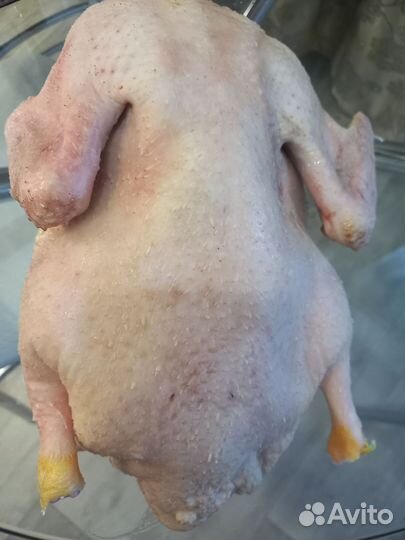 Мясо Утки, домашние бройлеры, индюки, гуси