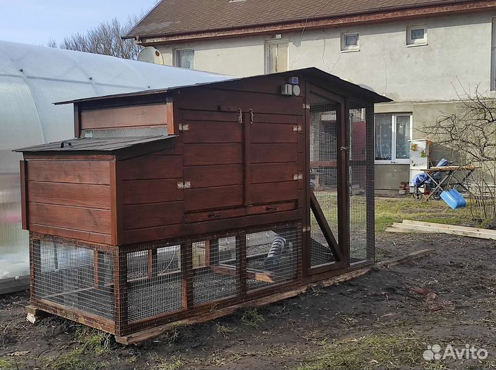 Курятник зимний, летний, автоматизированный