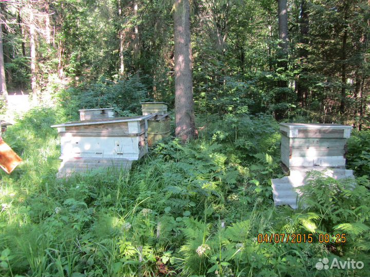 Инвентарь для пчеловодства