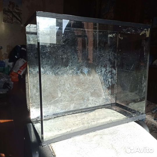 Террариум,аквариум