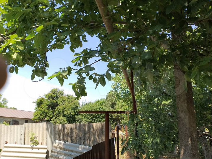 Дом 43,1 м² на участке 8,4 сот.