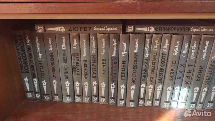 Книги серии Жизнь замечательных людей СССР