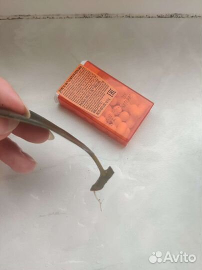 Фикус эластика абиджан