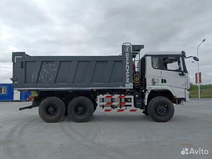 Shacman (Shaanxi) SX32586V385, 2023