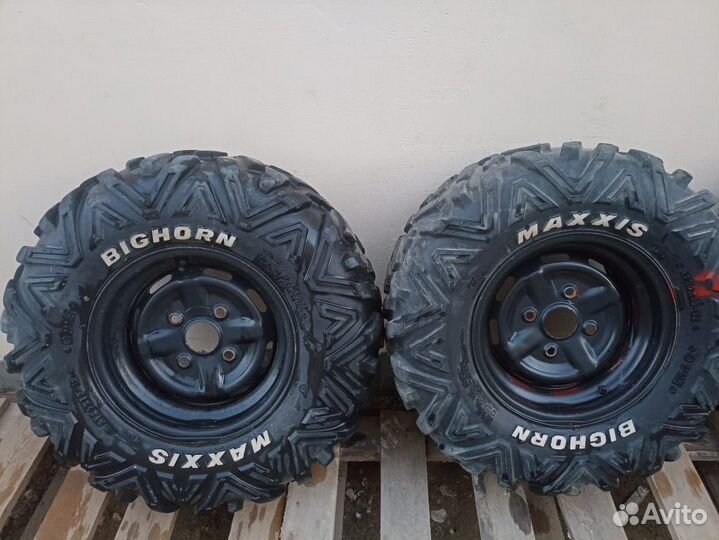 Maxxis bighorn 2.0