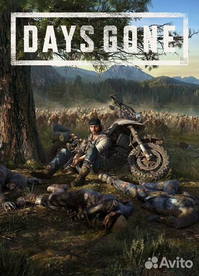 Days gone ключ для steam Турция