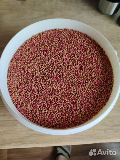 Сухой корм для рыб