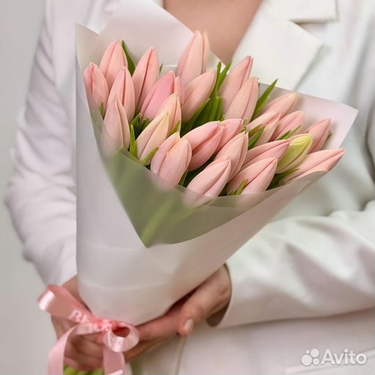 Тюльпан премиум