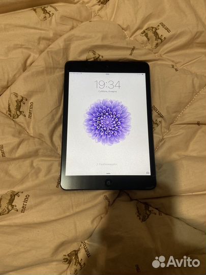 iPad mini