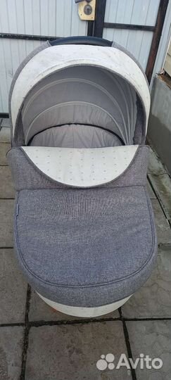 Коляска 2 в 1 adamex