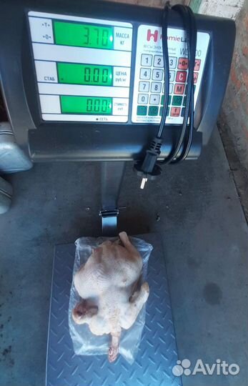 Цыплята бройлеров Росс308 в ст. Елизаветинской