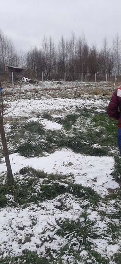 Участок 19 сот. (ИЖС)