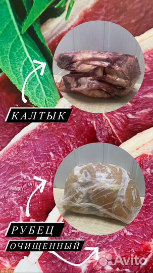 Корм для собак от производителя