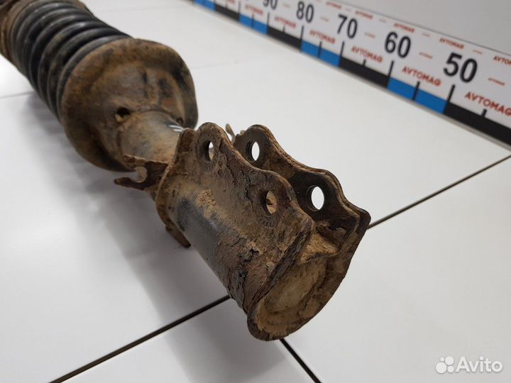 Амортизатор передний правый с пружиной (Kia Rio)