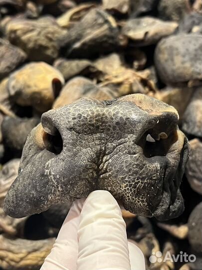 Губы говяжьи сушеные