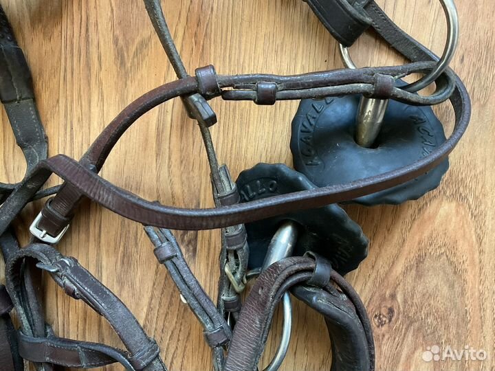 Конное снаряжение acavallo