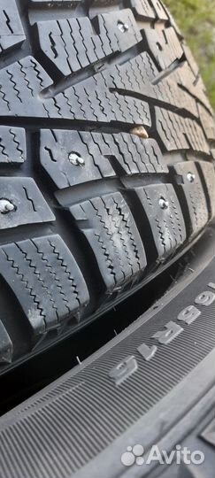 Nexen Winguard WinSpike 205/65 R15