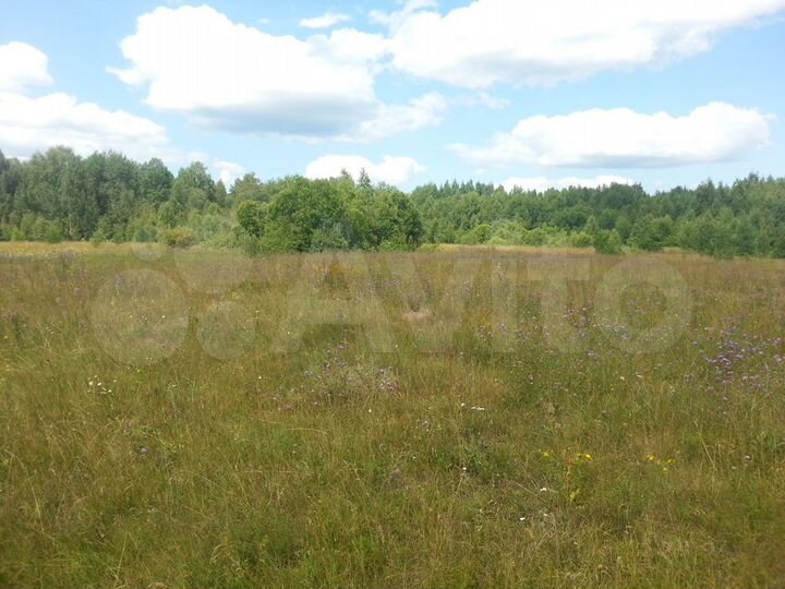 Участок 15 га (СНТ, ДНП)